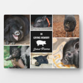 Zwart in Loving Memory Pet Pig Fotocollage Fotoplaat (voorkant)
