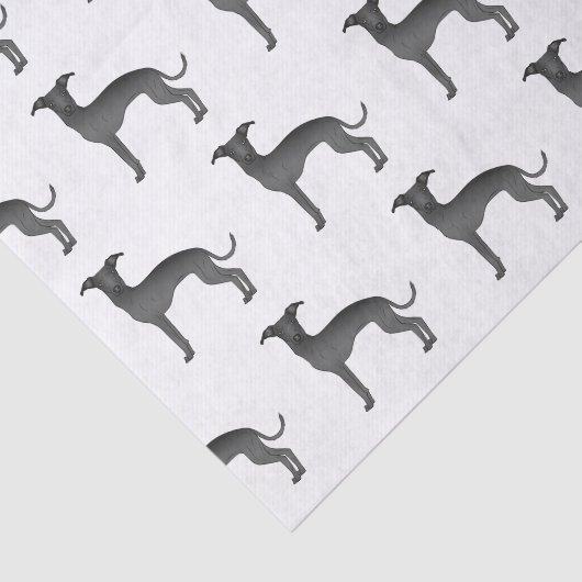 Zwart-Italiaans grijswindschildpad - Dog Patroon Tissuepapier (Detail)