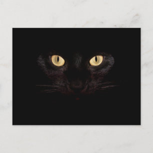 zwart kat ansichtkaart briefkaart