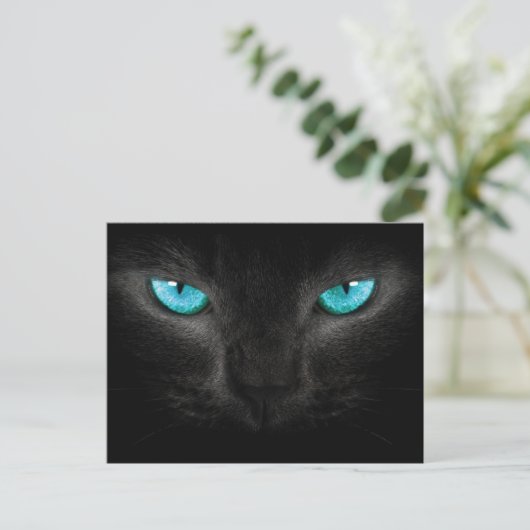 Zwart Kat gezicht met Turquoise Eyes Briefkaart (Staand voorkant)