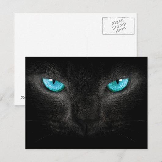 Zwart Kat gezicht met Turquoise Eyes Briefkaart (Voorkant / Achterkant)