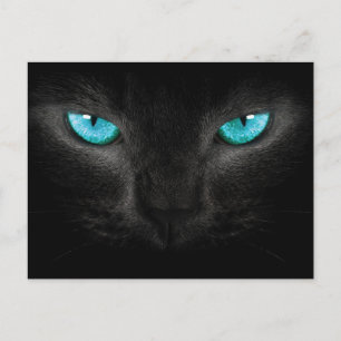 Zwart Kat gezicht met Turquoise Eyes Briefkaart
