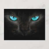 Zwart Kat gezicht met Turquoise Eyes Briefkaart (Voorkant)