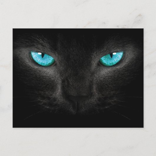 Zwart Kat gezicht met Turquoise Eyes Briefkaart (Voorkant)