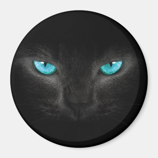Zwart Kat gezicht met Turquoise Eyes Magneet (Voorkant)
