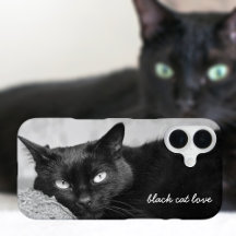 Zwart Kat Huisdier Foto Persoonlijk