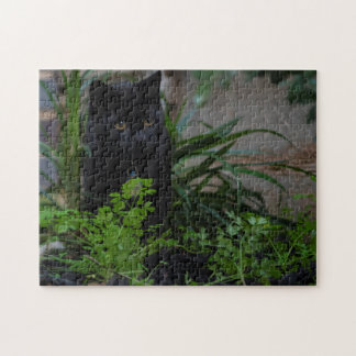 Zwart kat in de tuin, 252 stuks legpuzzel