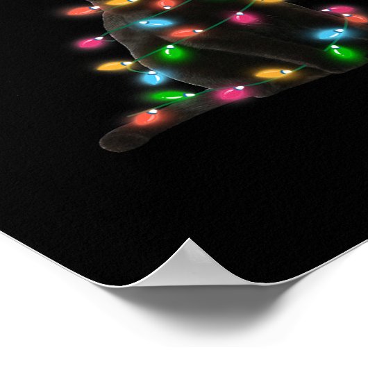 Zwart Kat Kerst Licht Grappig Kat Liefhebber Chris Poster (Hoek)
