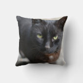 Zwart Kat Lover Afbeelding met Motivatie Citaat Kussen (Achterkant)