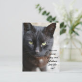 Zwart Kat Lover Afbeelding met Motivatie Citaat Po Briefkaart (Staand voorkant)