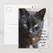 Zwart Kat Lover Afbeelding met Motivatie Citaat Po Briefkaart (Voorkant / Achterkant)