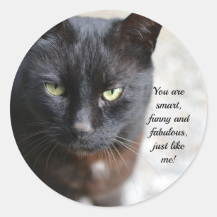 Zwart Kat Lover Afbeelding met Motivatie Citaat Ronde Sticker