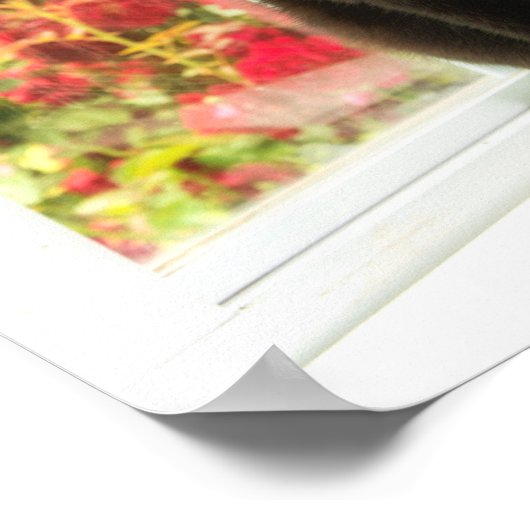 Zwart kat omhuld in wit poster (Hoek)