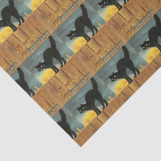 zwart kat op een gesmolten papier (Detail)