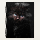 Zwart Kat Planner (Voorkant)
