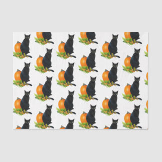 Zwart Kat Pompoen Varen Tissue Paper Tissuepapier