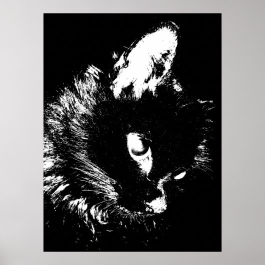 Zwart Kat Pop Art Poster Print - Kat Posters (Voorkant)
