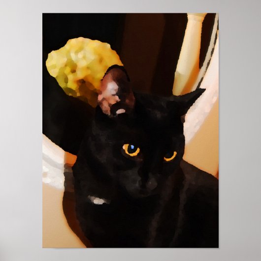 Zwart Kat Poster (Voorkant)