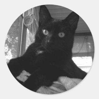 Zwart Kat Ronde Sticker