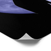 Zwart katblauw Poster afdrukken (Hoek)