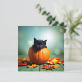 Zwart katje in een pompoen (Staand voorkant)