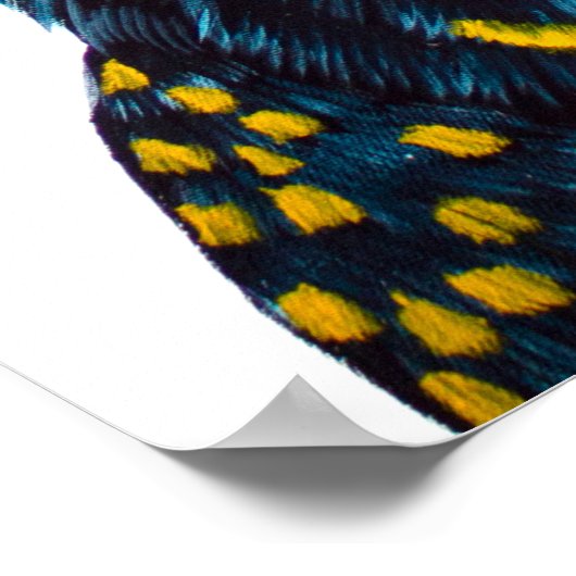 Zwart katoenschilderij poster (Hoek)