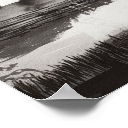 Zwart Kattenlandschap Wassen Poster Print Wandkuns (Hoek)