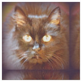 zwart kattenpatroon stof (Close Up)