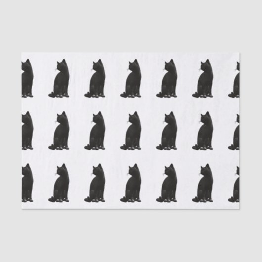Zwart kattentissuepapier tissuepapier (Voorkant)