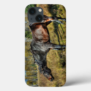 Zwart keegras Percheron Schudden van water Case-Mate iPhone Case