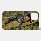 Zwart keegras Percheron Schudden van water Case-Mate iPhone Case (Achterkant (horizontaal))