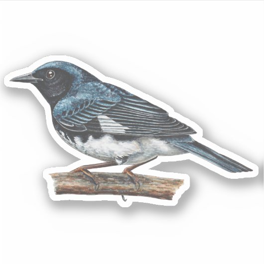 Zwart-keel Blue Warbler Sticker (Voorkant)