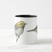 Zwart-keel Groene Warbler Mok (Midden)