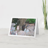 Zwart Kitten op Rockery Kaart (Voorkant)