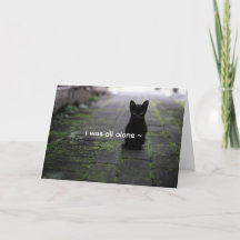 ZWART KITTY - LIEFDE KAART