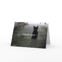 ZWART KITTY - LIEFDE KAART