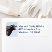 Zwart Koe adreslabel Etiket (Insitu)