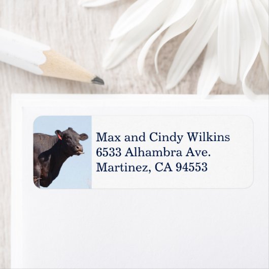 Zwart Koe adreslabel Etiket (Insitu)
