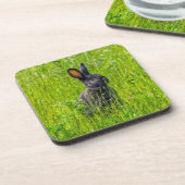 Zwart konijn in de gras harde plastic onderzetters (Linkerzijde)