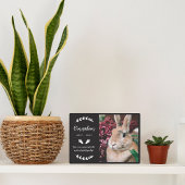 Zwart Konijnenpootjes groen Foto Konijnenmonument Fotoplaat