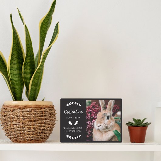 Zwart Konijnenpootjes groen Foto Konijnenmonument Fotoplaat