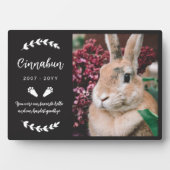 Zwart Konijnenpootjes groen Foto Konijnenmonument Fotoplaat (voorkant)