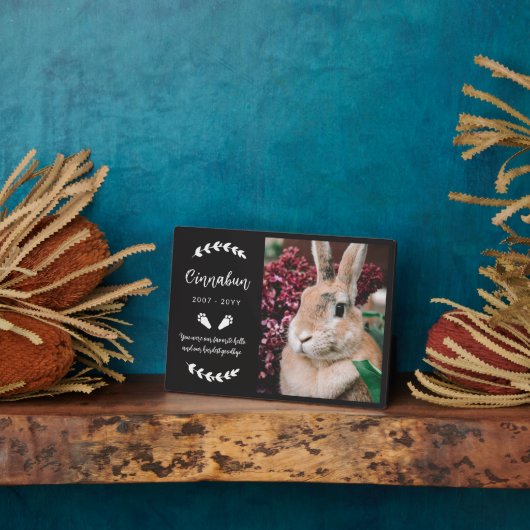 Zwart Konijnenpootjes groen Foto Konijnenmonument Fotoplaat (Zijkant)