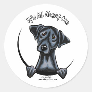 Zwart lab alles over mij ronde sticker