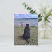 Zwart lab bij het meer briefkaart (Staand voorkant)