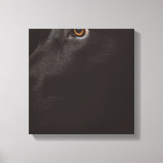 zwart lab canvas afdruk (Voorkant)