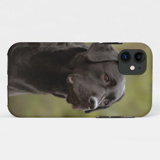 Zwart lab Case-Mate iPhone case (Achterkant (horizontaal))