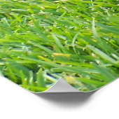 Zwart lab - een pauze innemen poster (Hoek)