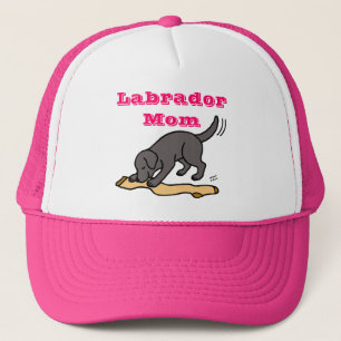 Zwart lab en stoppen trucker pet