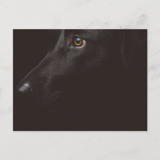 zwart lab feestdagenkaart (Voorkant)